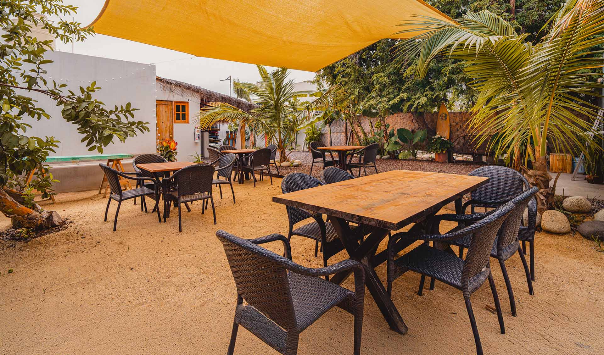 Garden area behind Todos Santos Surf Shop with potential for cafe