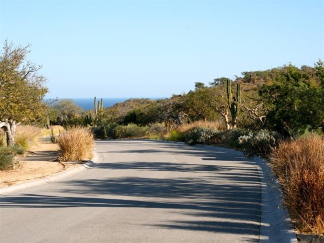 Oasis Palmilla Property For Sale