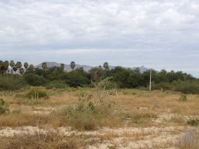 San Jose del Cabo Ranch Property