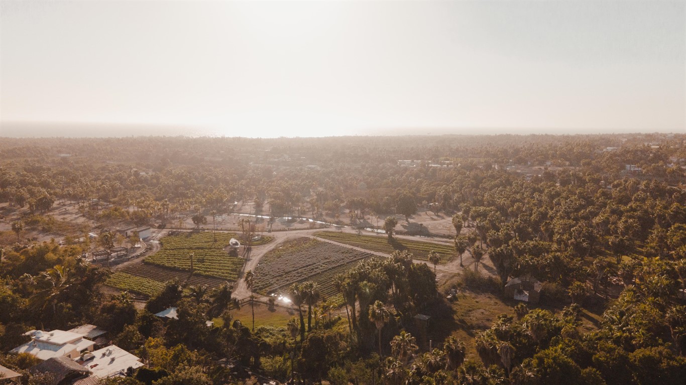 Your Ultimate Guide to Real Estate in Todos Santos – Dream Homes Await