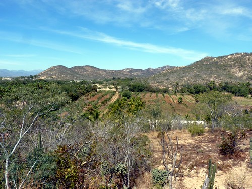 Sustainable Property Investment Cabo