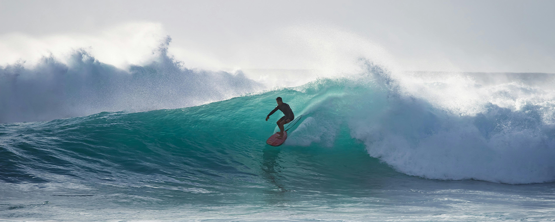 Real Estate Professional at Baja Smart Real Estate