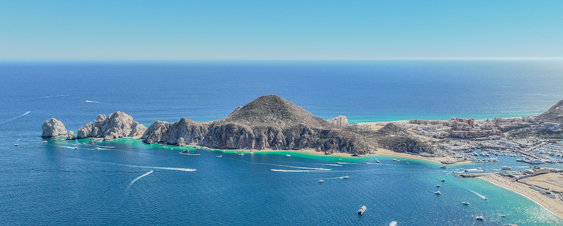 trusted real estate professional at Baja Smart