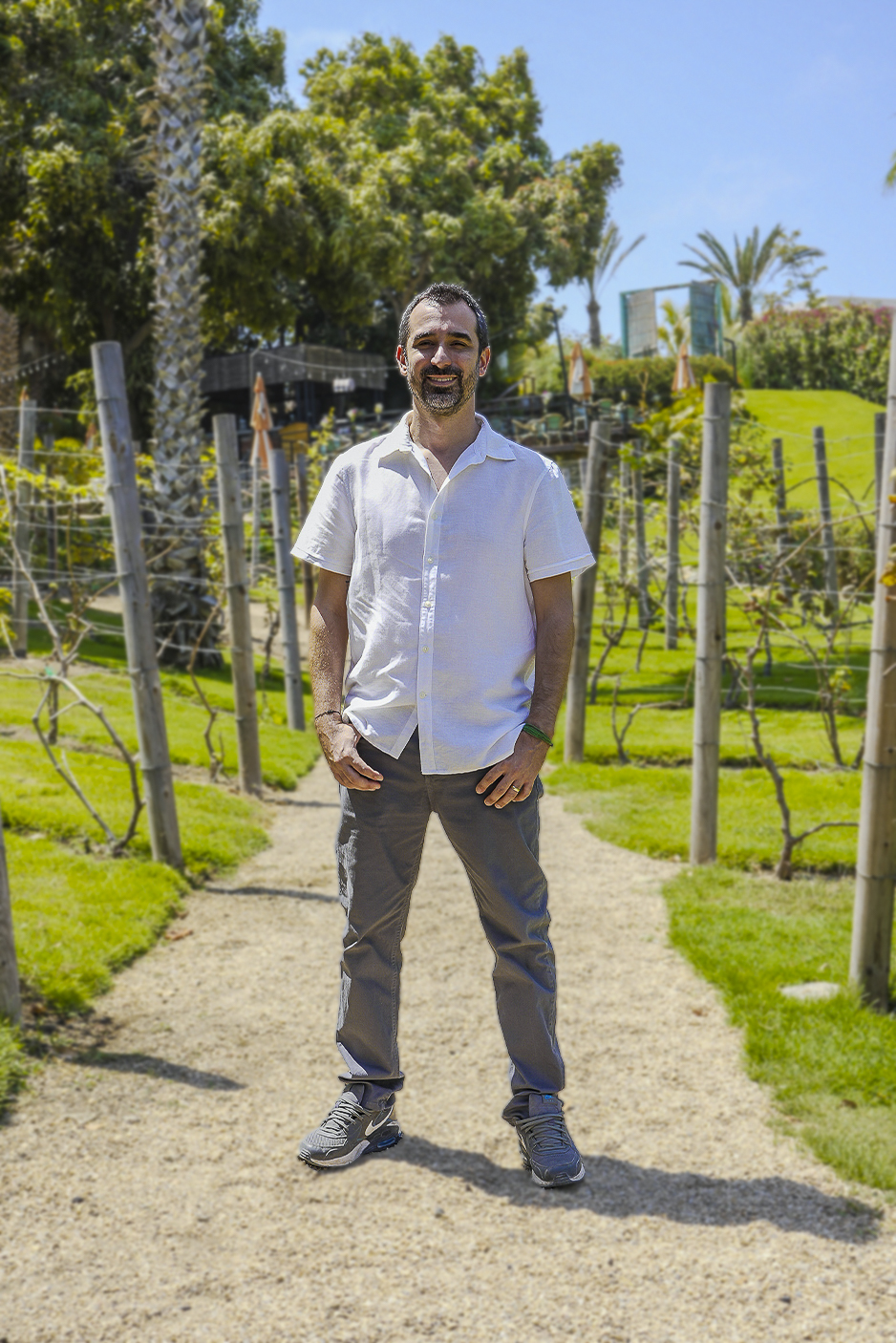 Fabio Francardi - Real Estate Professional