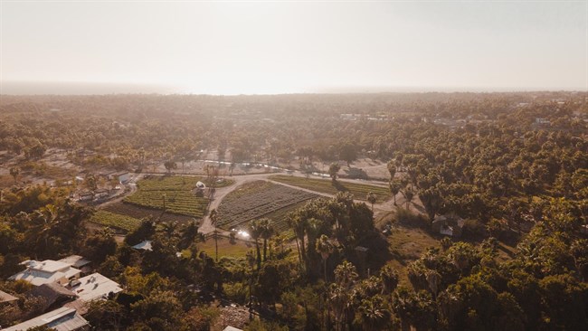 Why Smart Buyers Are Investing in Todos Santos